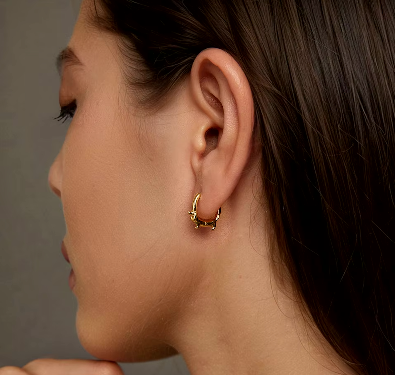 Драгоцени обручи за јазавчаре - благо маме штенета